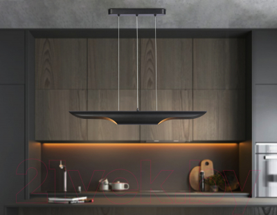 Потолочный светильник Ambrella Techno Spot TN5157/2 BK