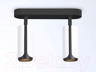 Спот Ambrella Techno Spot TN51596/2 WH/BK