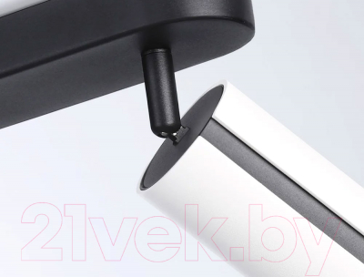 Спот Ambrella Techno Spot TN51596/2 WH/BK