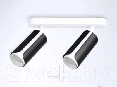 Спот Ambrella Techno Spot TN51598/2 BK/WH