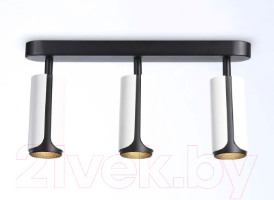 Спот Ambrella Techno Spot TN51603/3 WH/BK