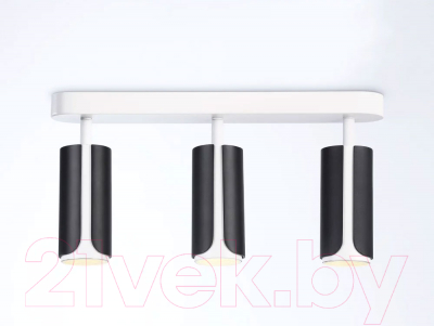 Спот Ambrella Techno Spot TN51605/3 BK/WH