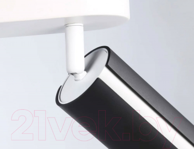 Спот Ambrella Techno Spot TN51605/3 BK/WH