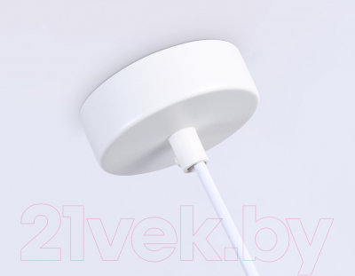 Потолочный светильник Ambrella Techno Spot TN51611 BK/WH