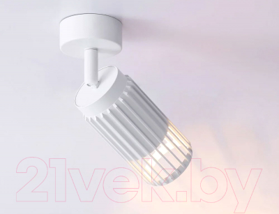 Спот Ambrella Techno Spot TN51677 WH