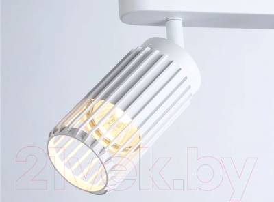 Спот Ambrella Techno Spot TN51682/2 WH