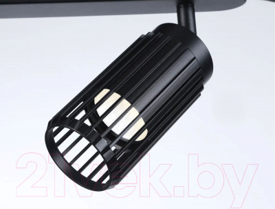 Спот Ambrella Techno Spot TN51685/2 BK