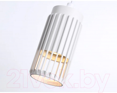 Потолочный светильник Ambrella Techno Spot TN51693 WH