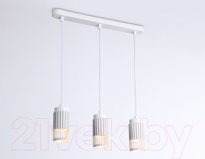 Потолочный светильник Ambrella Techno Spot TN51698/3 WH