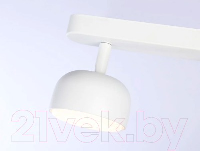 Спот Ambrella Techno Spot TN71011/2 WH