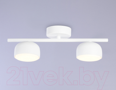 Потолочный светильник Ambrella Techno Spot TN71022/2 WH - фото