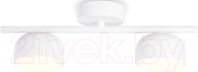 Потолочный светильник Ambrella Techno Spot TN71022/2 WH