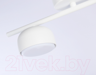 Потолочный светильник Ambrella Techno Spot TN71022/2 WH