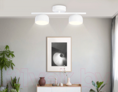 Потолочный светильник Ambrella Techno Spot TN71022/2 WH