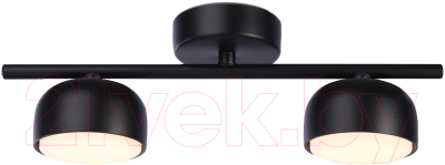 Потолочный светильник Ambrella Techno Spot TN71024/2 BK - фото