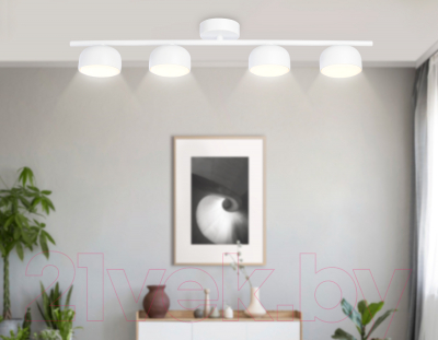 Люстра Ambrella Techno Spot TN71027/4 WH