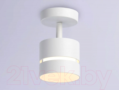 Спот Ambrella Techno Spot TN71055 WH