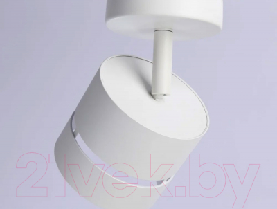 Спот Ambrella Techno Spot TN71055 WH