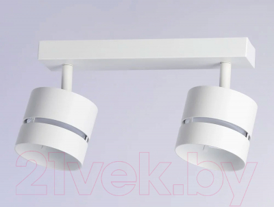 Спот Ambrella Techno Spot TN71058/2 WH