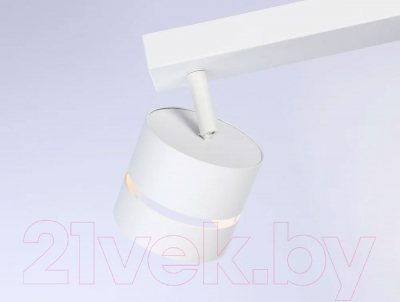 Спот Ambrella Techno Spot TN71058/2 WH