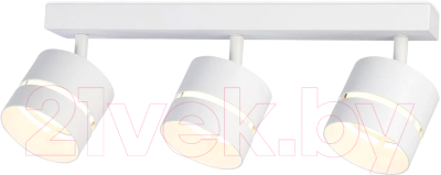 Спот Ambrella Techno Spot TN71062/3 WH - фото