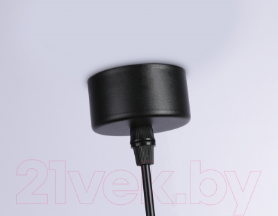 Потолочный светильник Ambrella Techno Spot TN71109 BK