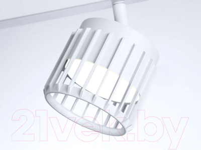 Спот Ambrella Techno Spot TN71161/2 WH