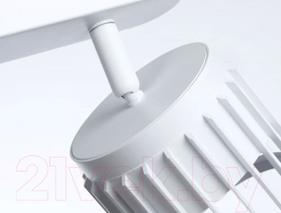 Спот Ambrella Techno Spot TN71161/2 WH