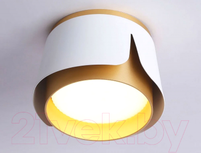 Точечный светильник Ambrella Techno Spot TN71221 WH/GD