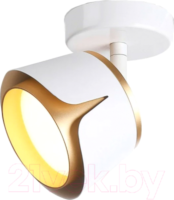 Спот Ambrella Techno Spot TN71224 WH/GD - фото