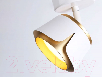 Спот Ambrella Techno Spot TN71224 WH/GD