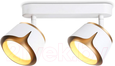 Спот Ambrella Techno Spot TN71229/2 WH/GD - фото