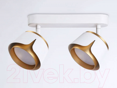 Спот Ambrella Techno Spot TN71229/2 WH/GD