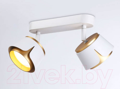 Спот Ambrella Techno Spot TN71229/2 WH/GD