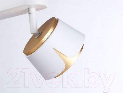 Спот Ambrella Techno Spot TN71229/2 WH/GD