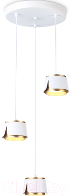 Люстра Ambrella Techno Spot TN71249/3 WH/GD - фото