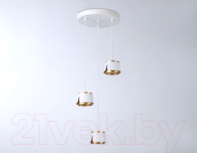 Люстра Ambrella Techno Spot TN71249/3 WH/GD