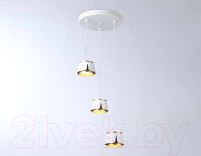 Люстра Ambrella Techno Spot TN71249/3 WH/GD