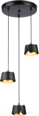 Люстра Ambrella Techno Spot TN71252/3 BK/GD - фото