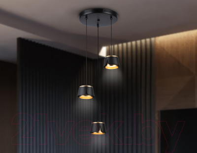 Люстра Ambrella Techno Spot TN71252/3 BK/GD