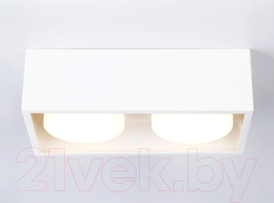 Точечный светильник Ambrella Techno Spot TN70828/2 WH