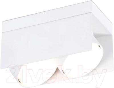 Спот Ambrella Techno Spot TN70845/2 SWH - фото