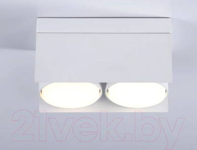 Спот Ambrella Techno Spot TN70845/2 SWH