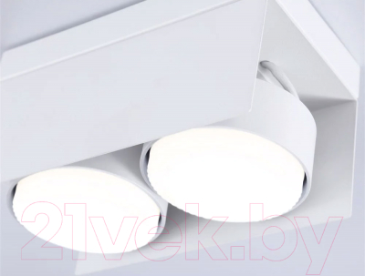 Спот Ambrella Techno Spot TN70845/2 SWH