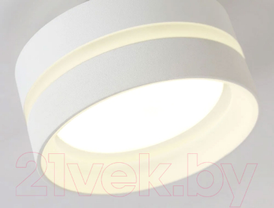 Точечный светильник Ambrella TN5419 SWH/FR