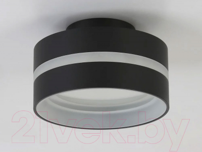 Точечный светильник Ambrella TN5421 SBK/FR