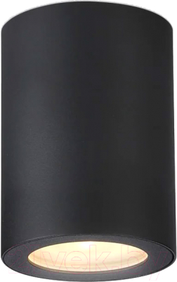 Точечный светильник Ambrella TN22799 BK - фото