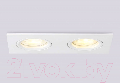 Точечный светильник Ambrella TN102460/2 WH