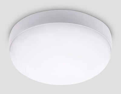 Светильник ЖКХ Ambrella Street ST8631 WH