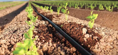 Система капельного полива Синьор Помидор Эко